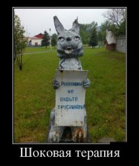 Пост о чёрном юморе, спонсором которого стала сама смерть