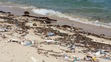 Жаль жители сингапура не в курсе.