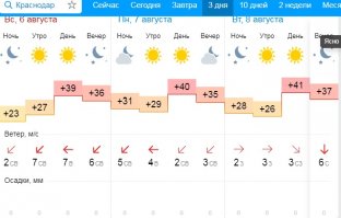 а чего бы ананасам то не зреть, смотри какая погодка