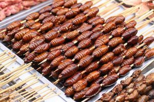 Ирка гонишь... Жирут его... твоего тутового шелкопряда... Жирут!!! А то что не сожирали в тряпки;)