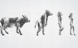 От обезьяны к человеку: десять шагов