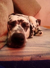 "Я проснулся и не поверил своим глазам!". часть II