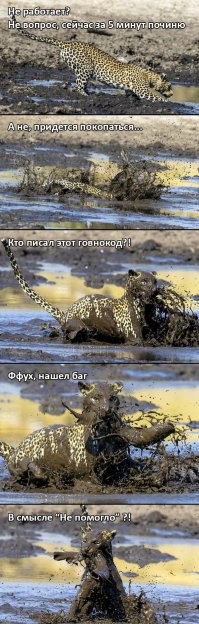 Больше грязи - шире морда: на что пошла самка леопарда ради вкусного обеда