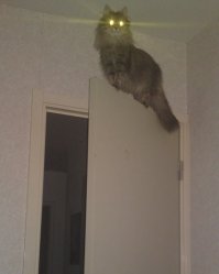 А чо дальний включил ? не темно же ?