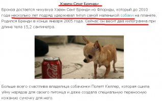 "...самая маленькая собака   чихуахуа по кличке Heaven Sent Brandy. Ее вес составляет 900 гр..." 
Однако, разжирел ваш HSB. :)