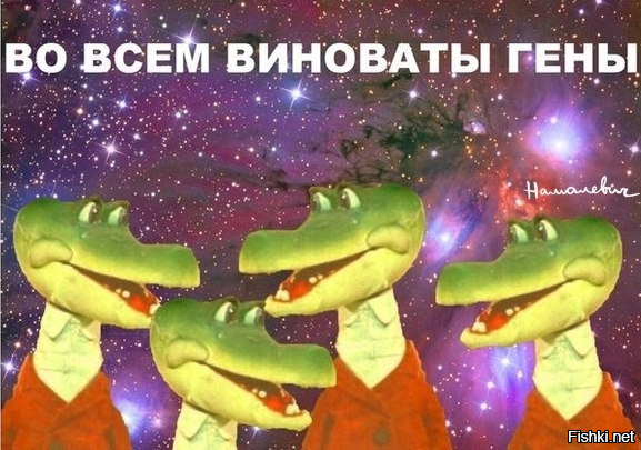 Некрасивые дети красивых родителей