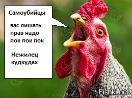 Предвижу кучу комментариев типа. Ну и кучу минусов у меня