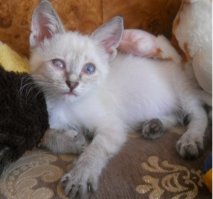 несколько месяцев и 3 года....