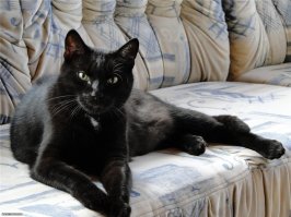 Фотоподборка за 08.08.2017