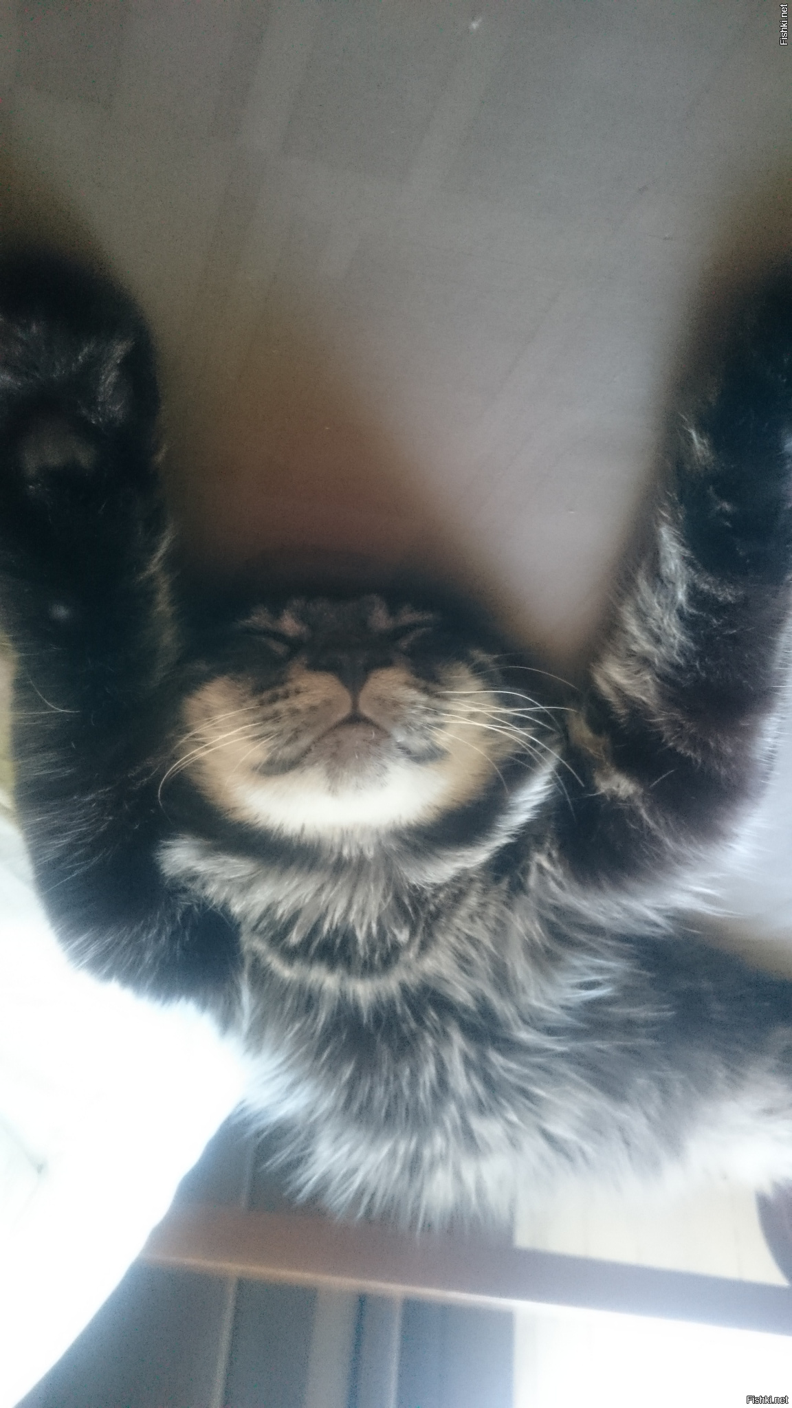 Вы так хотели? )))