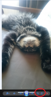 А если серьёзно, то даже без применения каких-либо серьёзных фоторедакторов, просто открываете стандартным просмотровщиком Windows и при помощи стрелочек поворачиваете. А уже потом на Fishki вставляете. Стрелочки я обвёл.