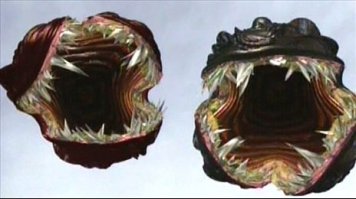 Парень просто измерения чутка попутал.