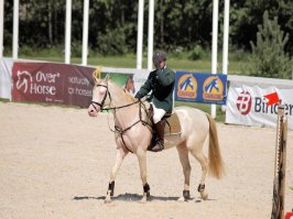 Пасутся кони на лугу, красивые, как в сказке