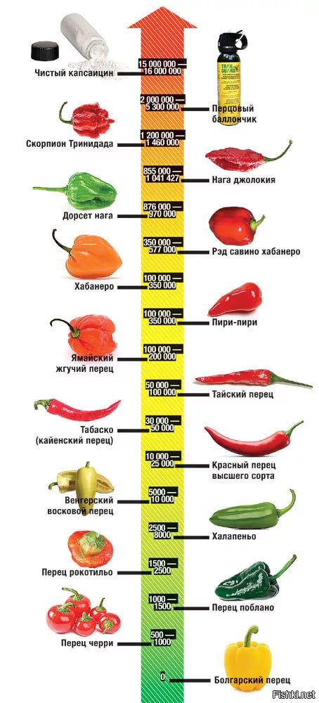 Острота перцев по школе СКОВИЛЛА