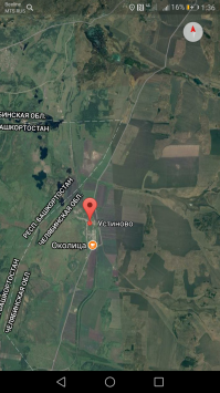 Съездили за грибами