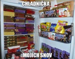 Вот что бывает, если оставить мужика наедине с холодильником всего на недельку