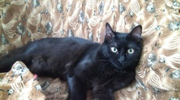 2 месяца и 6 месяцев