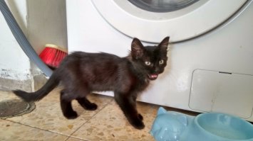 2 месяца и 6 месяцев