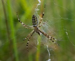 Фотоподборка за 08.08.2017