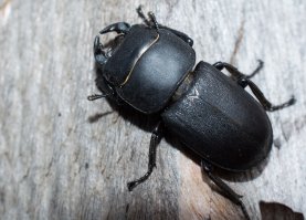 Фотоподборка за 08.08.2017