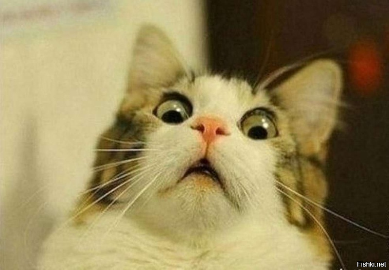 До и после: вот что гримаса животворящая делает!