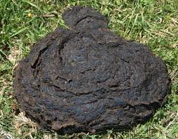 А из твоего рта никогда ничего хорошего не выходит)