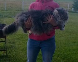 от рождения и до года вот как-то так :)