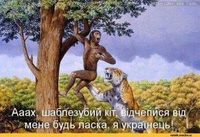 "В огороде динозавр кабачки пожрал!". Реальная история о спасении потерявшейся игуаны