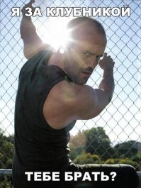 Напавших на грибников в Челябинской области охранников полей уволили