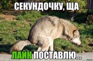 Вот что бывает, если оставить мужика наедине с холодильником всего на недельку