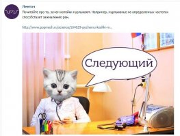 Животные, которые могут нас спасти: как собаки и кошки лечат болезни