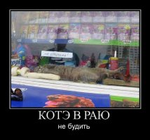 Вам, простым олухам, далеко до крутых  маркетолухов