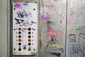 А вот самый обычный...