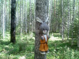 у нас тоже есть такое) в лес по грибы ходил наткнулся :)