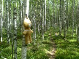 у нас тоже есть такое) в лес по грибы ходил наткнулся :)