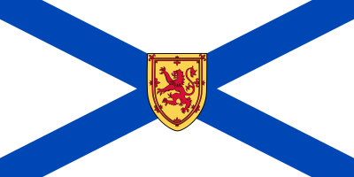 Флаг канадской провинции Новая Шотландия. Вообще, флагов с Андреевским крестом довольно много, и русские здесь далеко не первые.

Ну а пост дюже интересный, автор, спасибо и жги исчо! =)