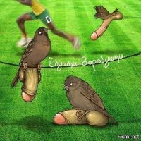 За что ученые так смешно обозвали этих животных?