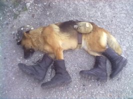 ПРИЛЯГУ КА Я ЧУТОК