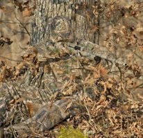 Эти совпадения настолько идеальны, что в них трудно поверить