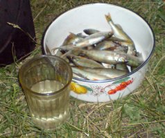 Размер?
Не имеет значения!!!