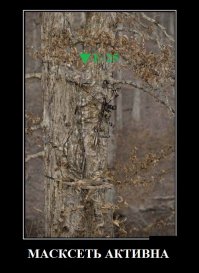 Эти совпадения настолько идеальны, что в них трудно поверить