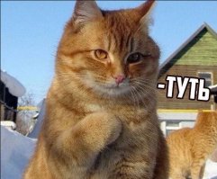 Борис, где твоя энергия??