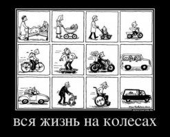 Вся жизнь на колесах