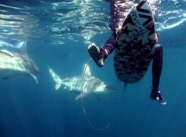 Ни о чем....Вот в тему...