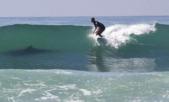 Ни о чем....Вот в тему...