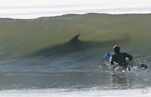 Ни о чем....Вот в тему...