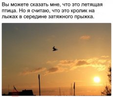 А что увидите  Вы?