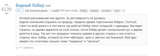 Семейка бобров в парке, около города