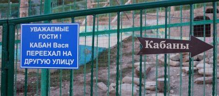 Новый начальник