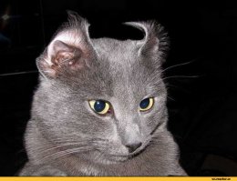 А как же это???
Только не говорите, что не делали )